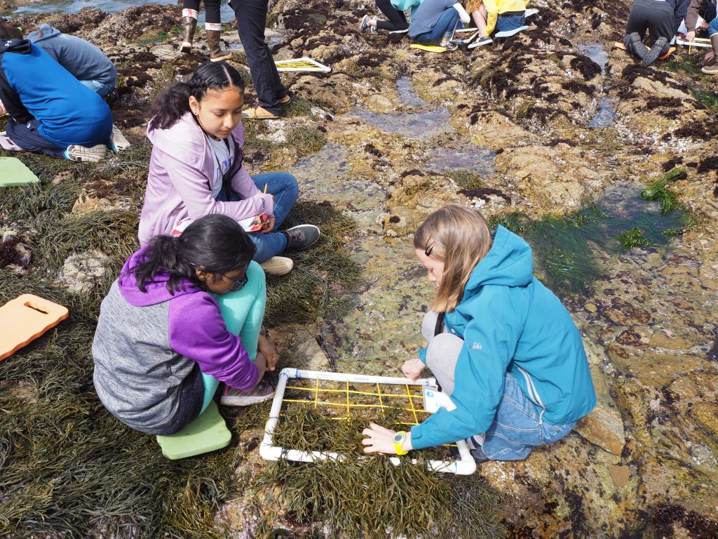 students collecting data at tidepools
